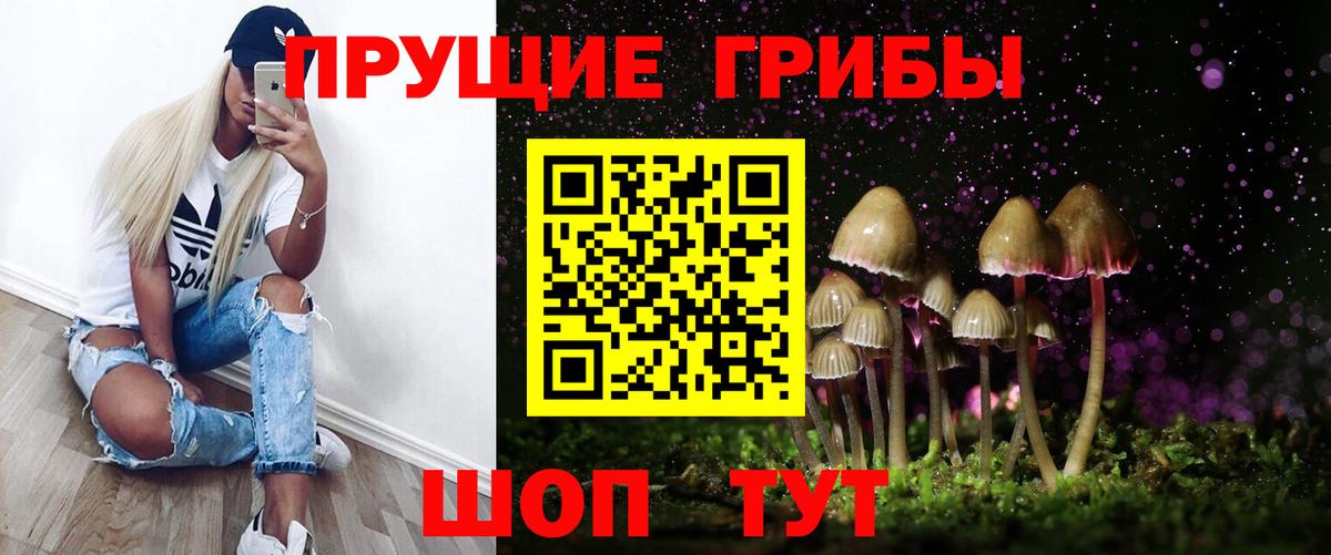 Галлюциногенные грибы прущие грибы  Вход с VPN  продажа наркотиков  Моздок 